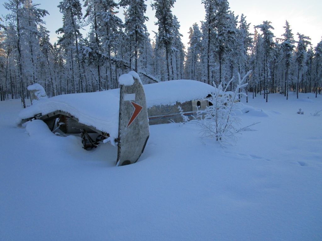 beech snow